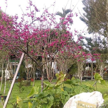 Sun Moon Lake Wild Flower Bed & Breakfast Yuchi Bagian luar foto